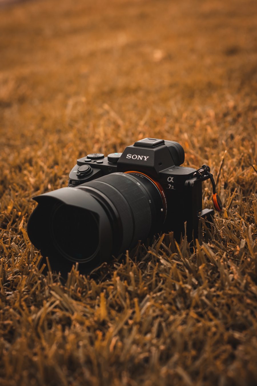 Sony Photography Courses for Beginners
