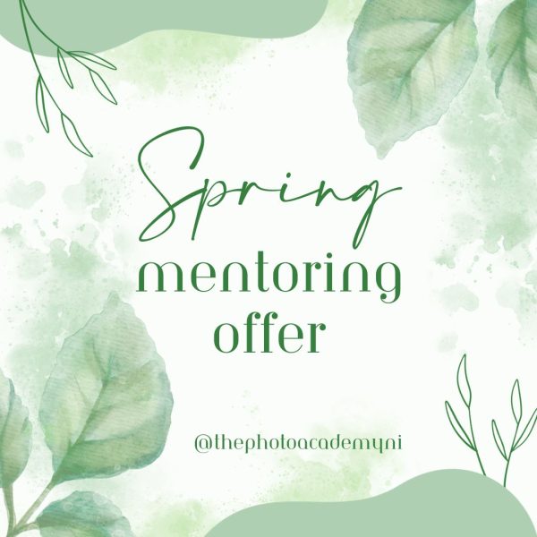 Spring Mentoring Offer